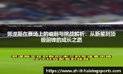 海星体育直播