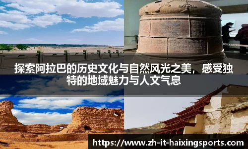 海星体育官网