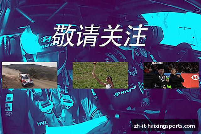 了解海星体育